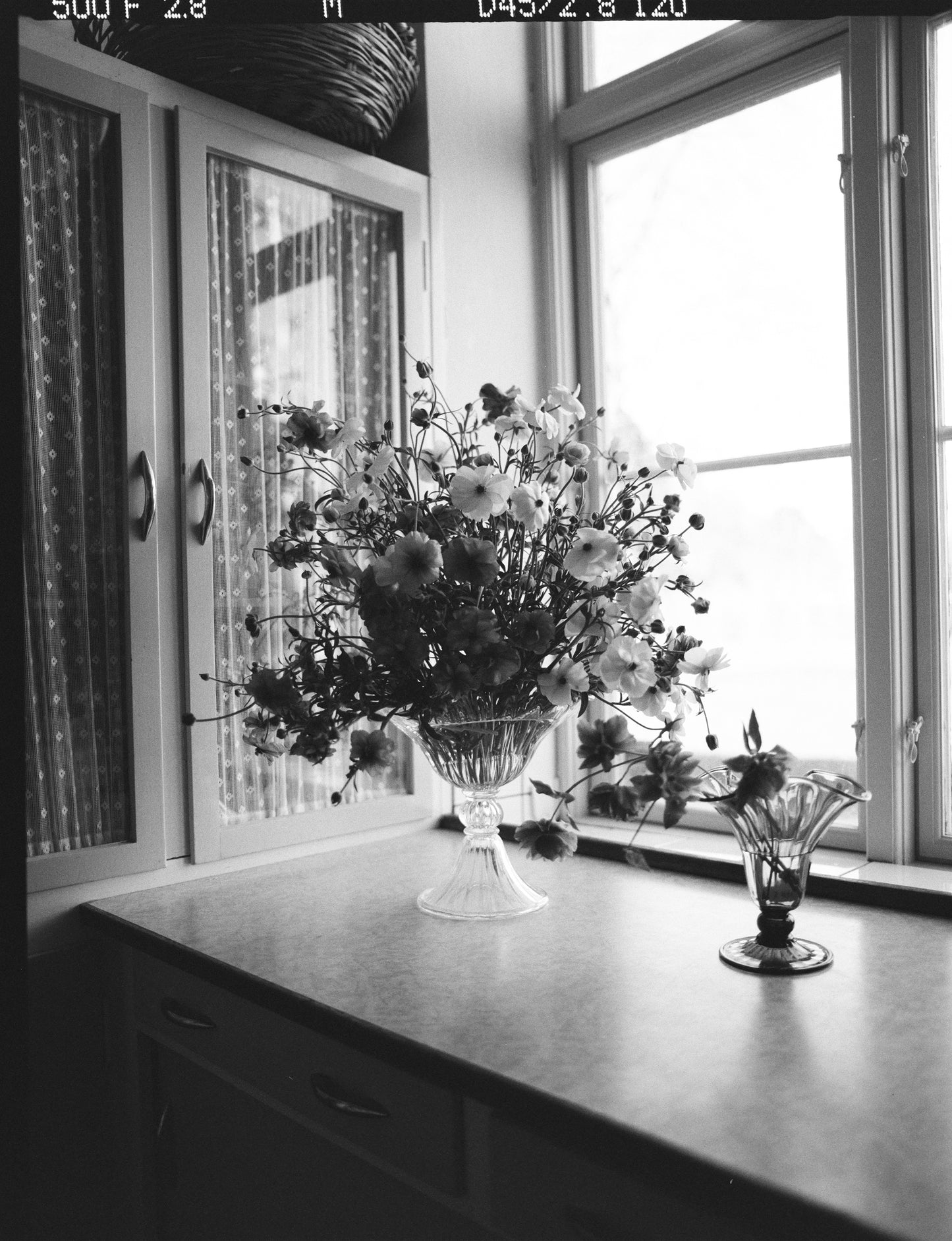 Large mouth blown clear Murano vase in window with flowers.
