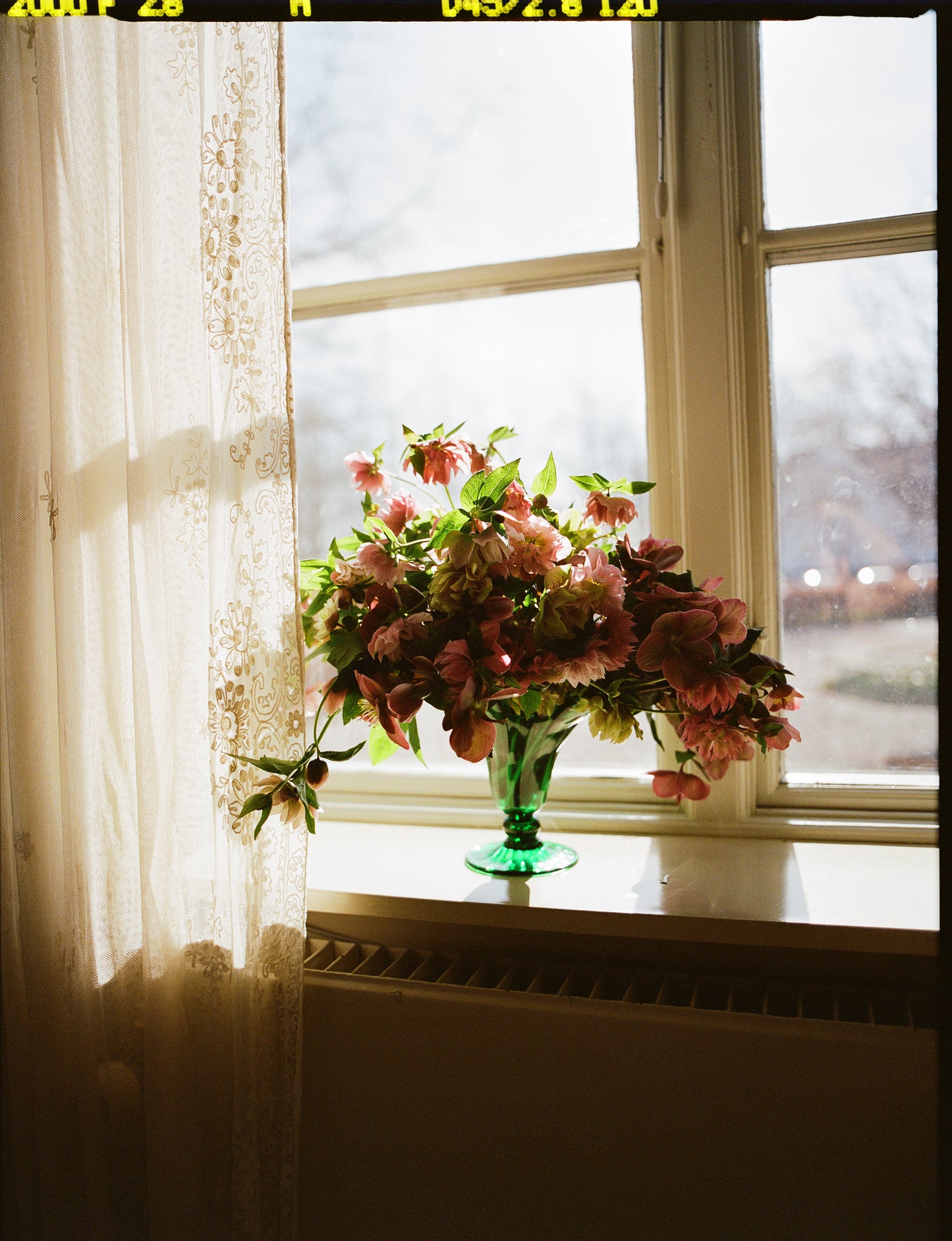 Small mouth blown green Murano vase in window with flowers.