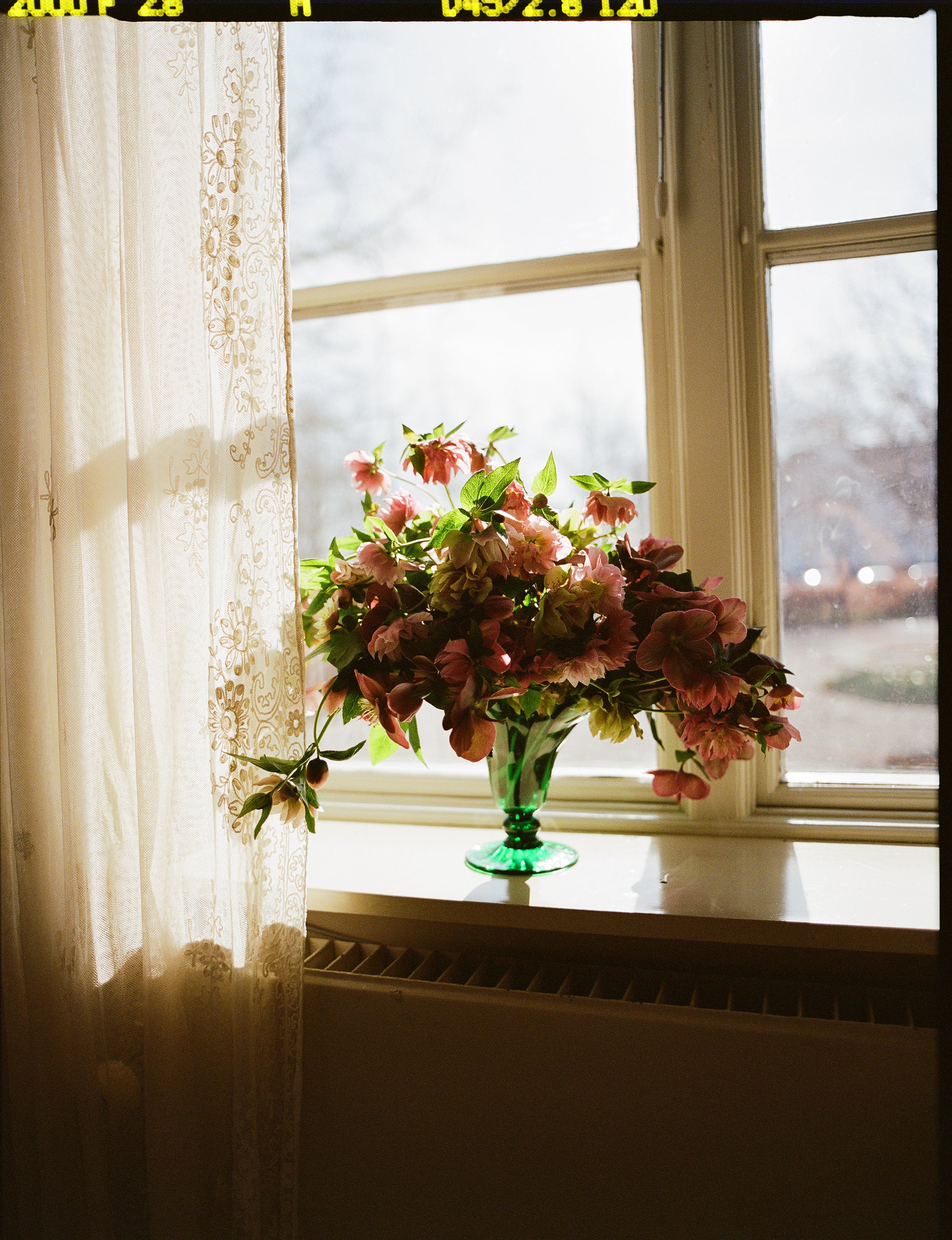 Small mouth blown green Murano vase in window with flowers.