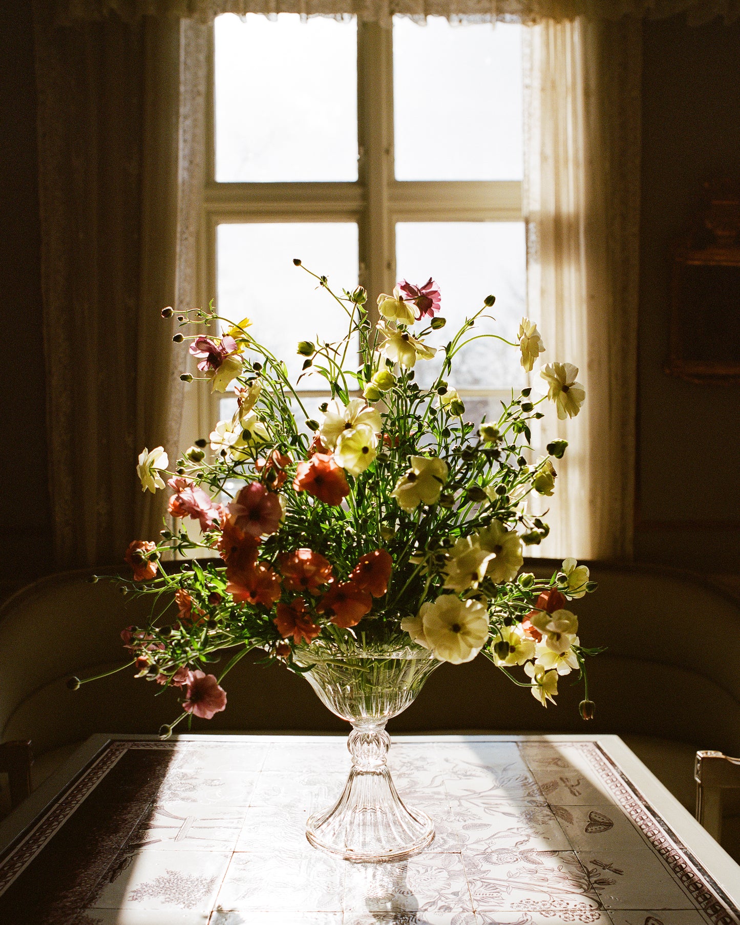 Large mouth blown clear Murano vase in window with flowers.