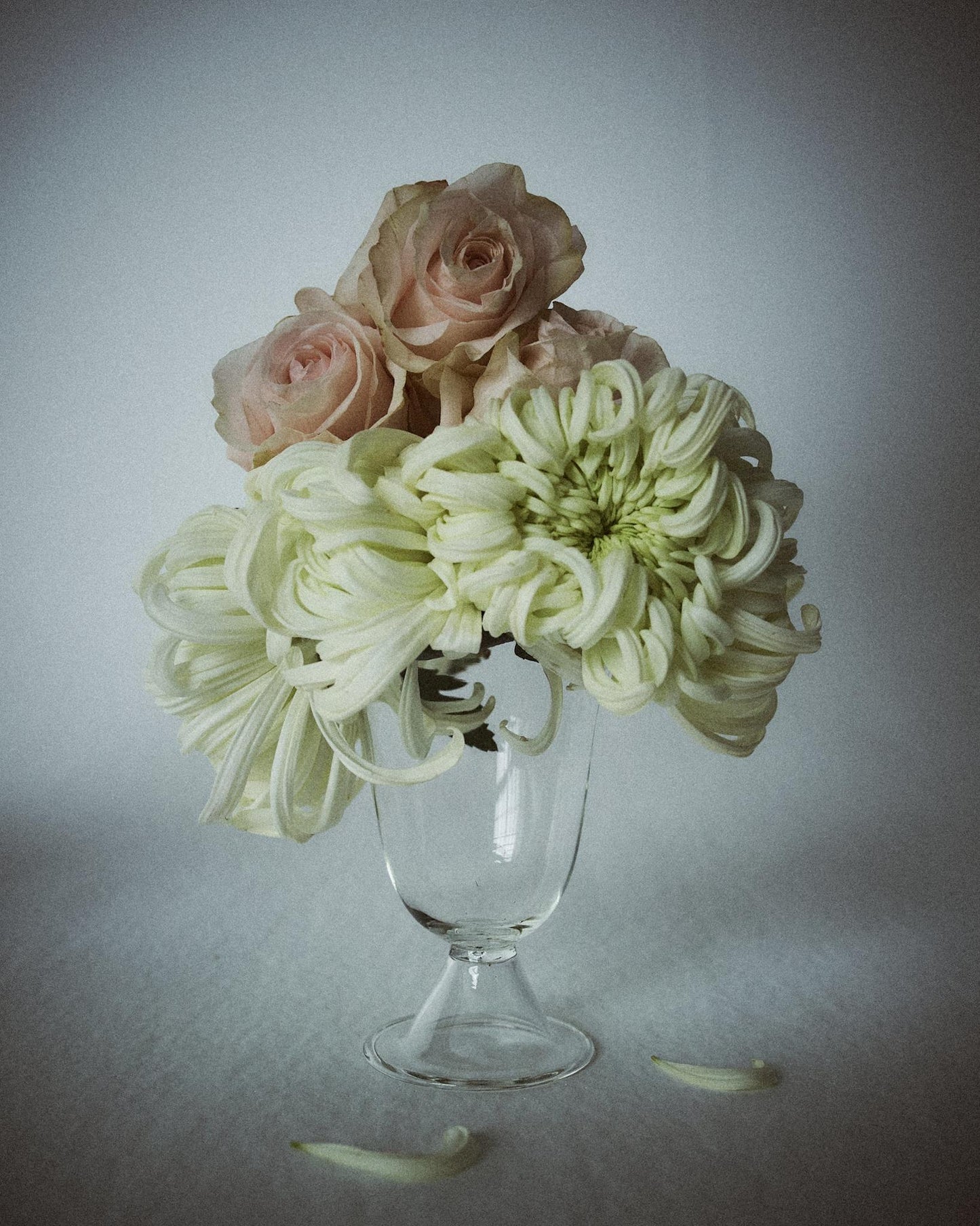 Alban Poppy Vase