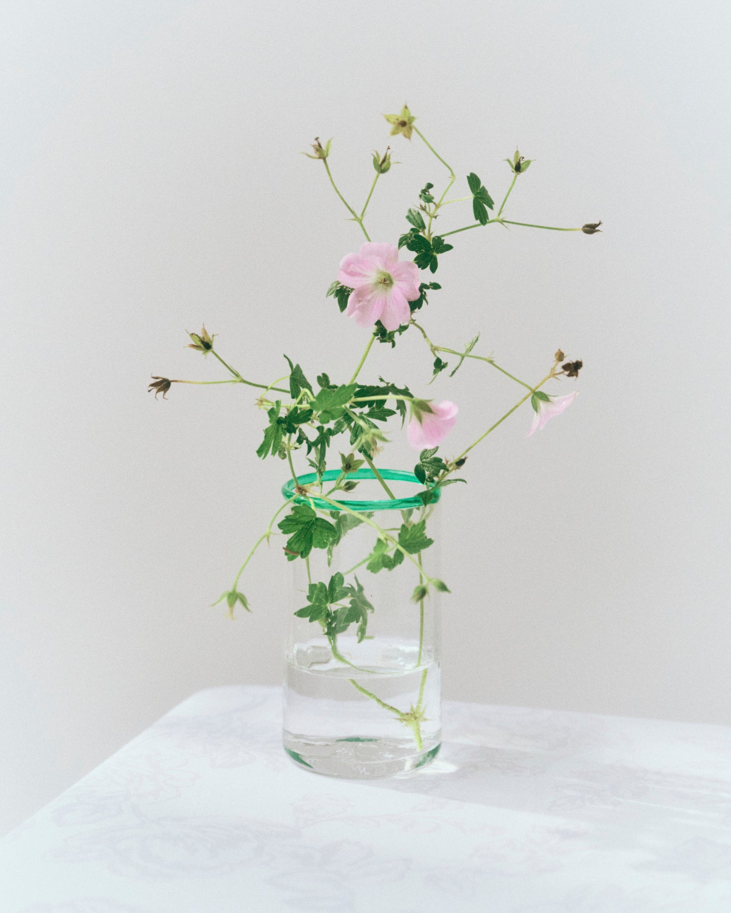 Peter Glass Small