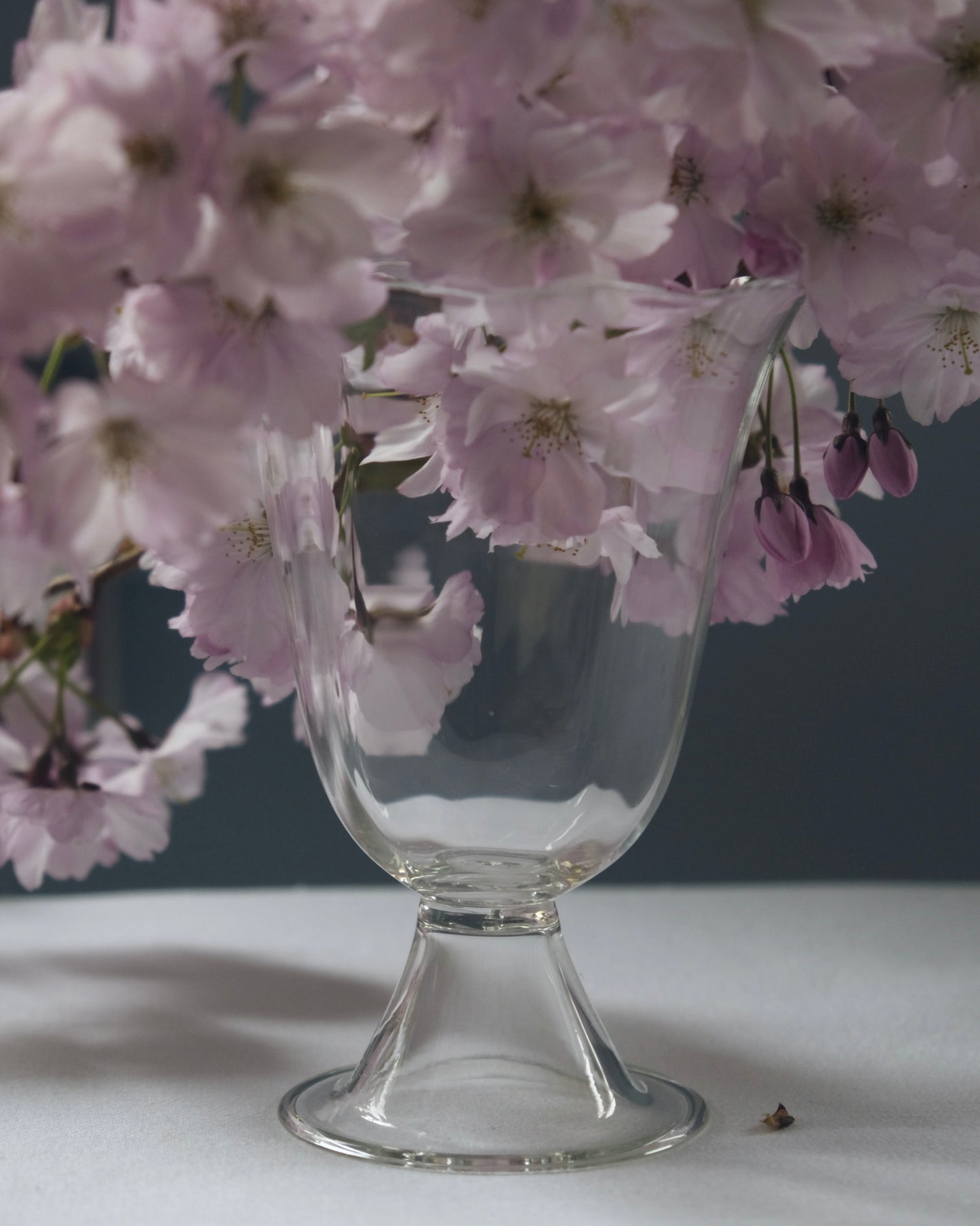 Alban Vase Poppy
