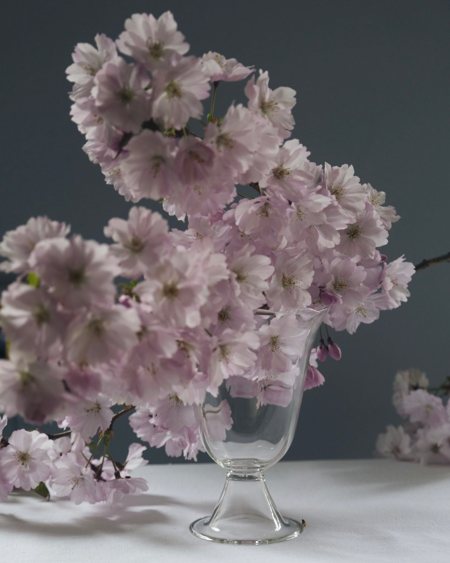 Alban Vase Poppy