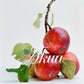 Marianne Apple Paperweight