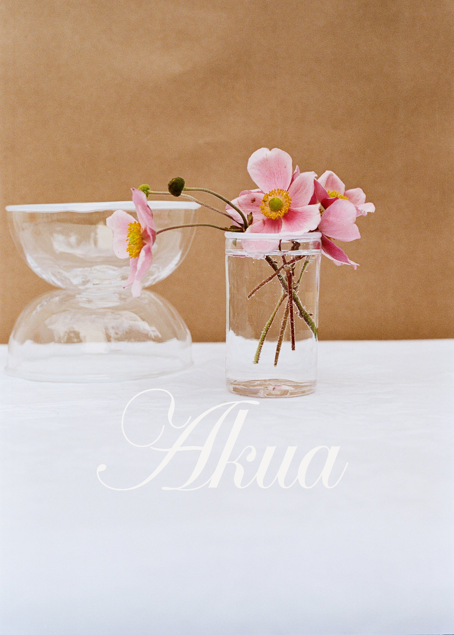 Akua Objects Glassware. Mouth blown and handmade Bohemian Glassware. Made in Bohemia. The Peter collection is a dedication to Annika’s grandfather, who made a great effort of gathering his children and grandchildren around an atmospheric dinner table. Glassware with a rim has always been present in the home of Peter’s and is a timeless classic that will be found in homes for many generations to come.
