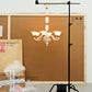 Rosenborg Chandelier Long