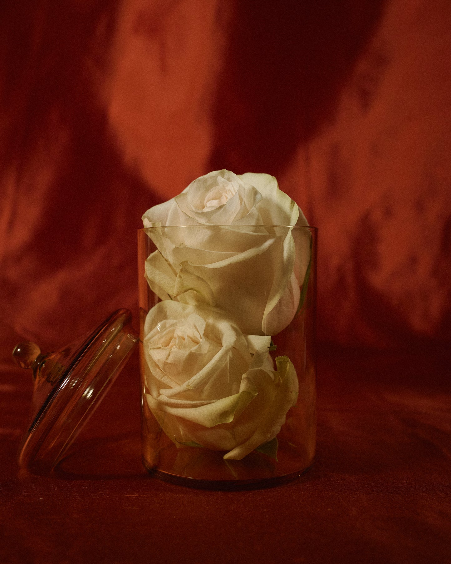 Noam Bonbonnière Tall