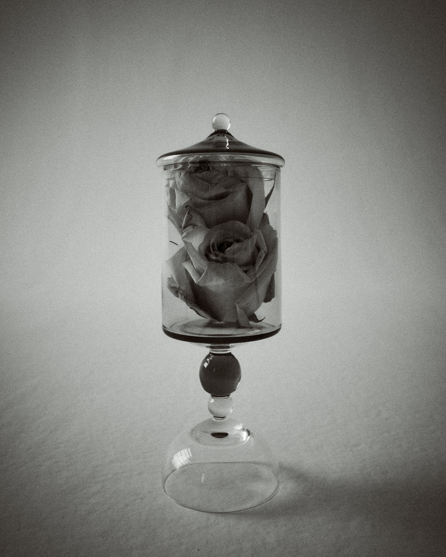 Noam Bonbonnière Tall