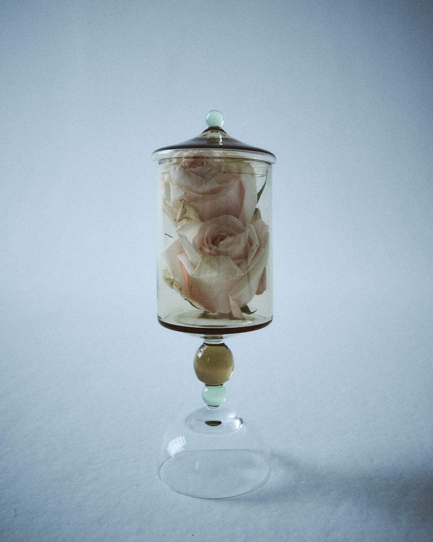 Noam Bonbonnière Tall