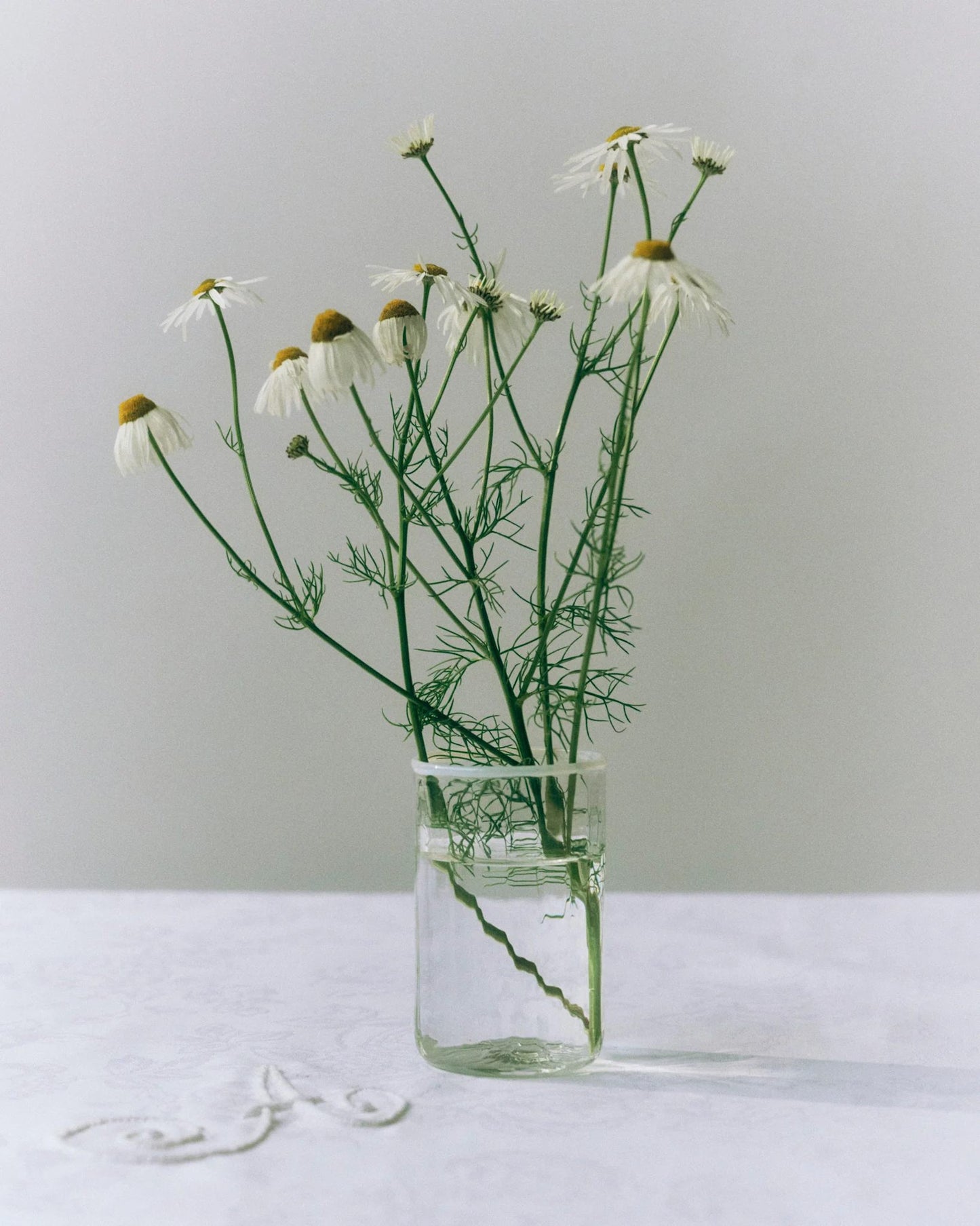 Peter Glass Small