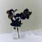 Peter Glass Small - Set of four