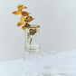 Peter Glass Small - Set of Four