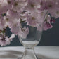 Alban Poppy Vase