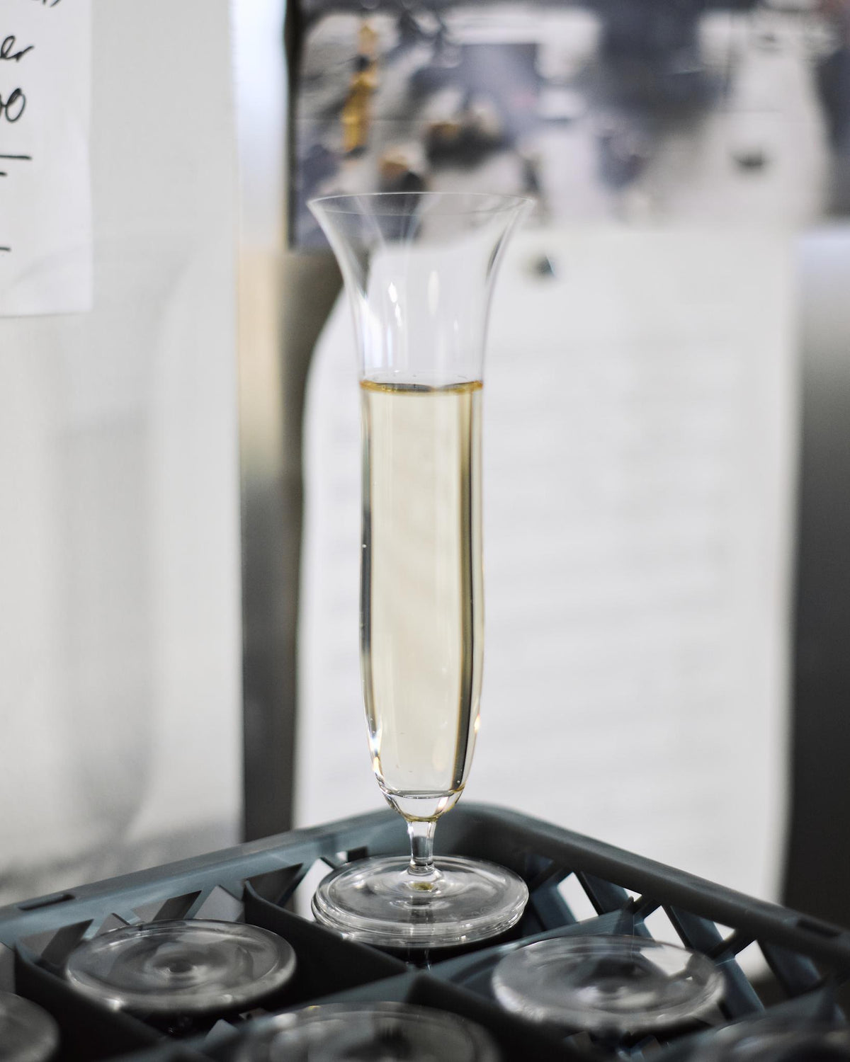 Daphne Champagne Glass - Set of four